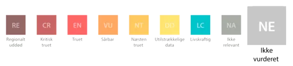 /media/1jcpx5rn/8.png?v=1d95e61f2b72db0