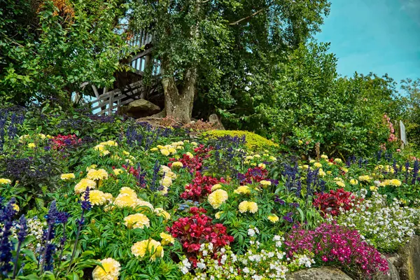 /media/4dzjcz1t/blomster3.jpg?v=1d9f85300628190