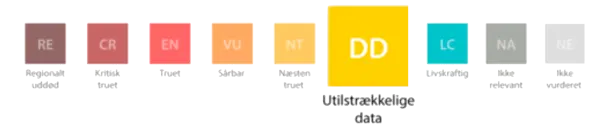/media/5qqejkiz/2.png?v=1d95e5a72dd17a0