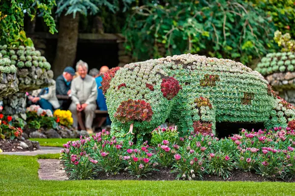 /media/eecllwl4/blomster13.jpg?v=1d9f853000f0a60