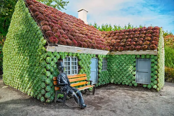 /media/gudnkghz/blomster6.jpg?v=1d9f85300935590