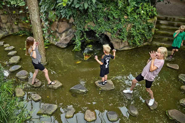 /media/izriduqz/jungleland2016_2.jpg?v=1da21d85c448d60