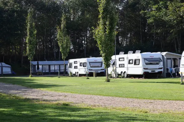 /media/mh0a10w2/dino_camping_4o5a4888_1920px.jpeg?v=1d9f60d73e908c0