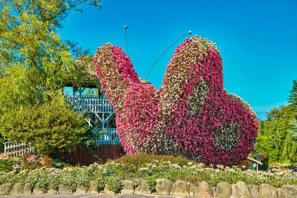 /media/mswftqff/blomster1.jpg?v=1d9f85300b1da10