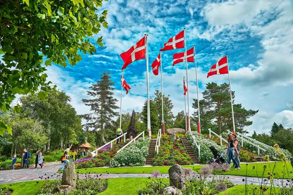 /media/slocmodo/blomster12_flaghoej.jpg?v=1d9f8530026ff30