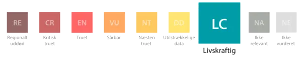 /media/uc3bfolf/6.png?v=1d95e61ebc400f0