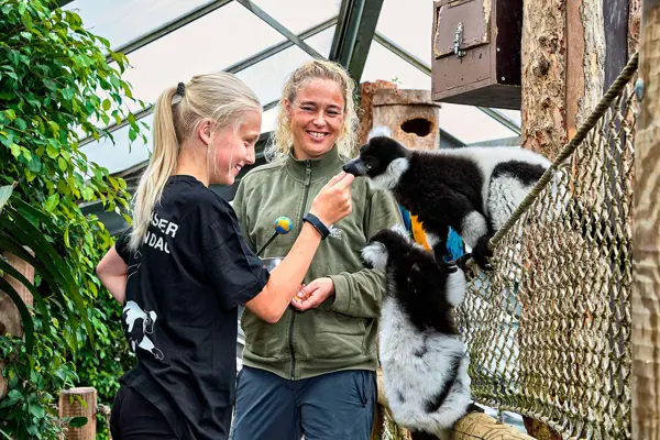 /media/v4upgn5d/2.jpg?v=1d9f84df3091810