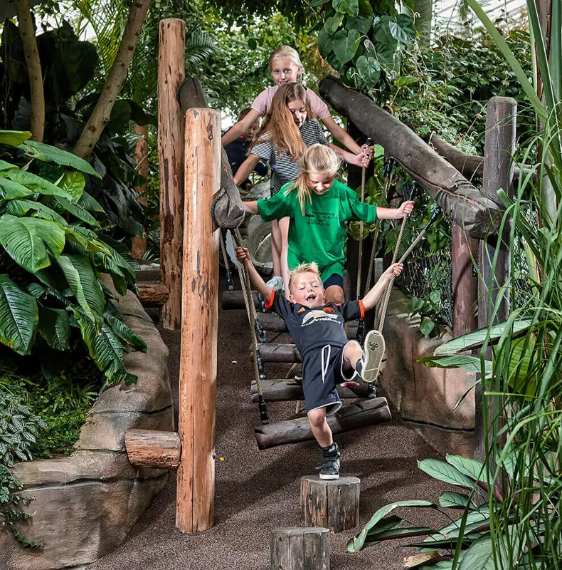 Jungleland2016_2.jpg