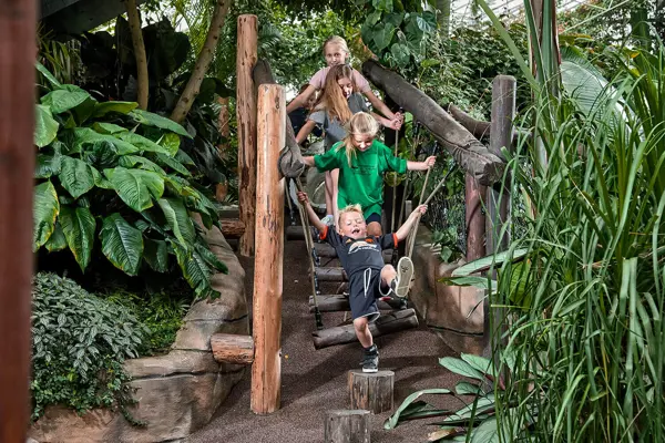 /media/wtxgdnm4/jungleland2016_3.jpg?v=1d95e626b8b2f70