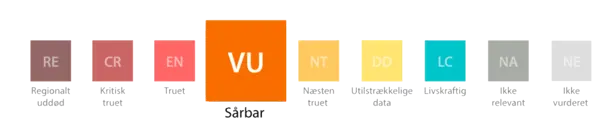 /media/xwzndv1u/11.png?v=1d95e61fcd9a160