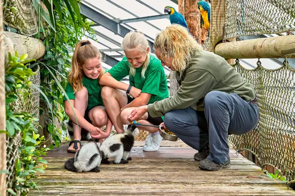 /media/xzhl2wai/4.jpg?v=1d9f84df2f0ae10